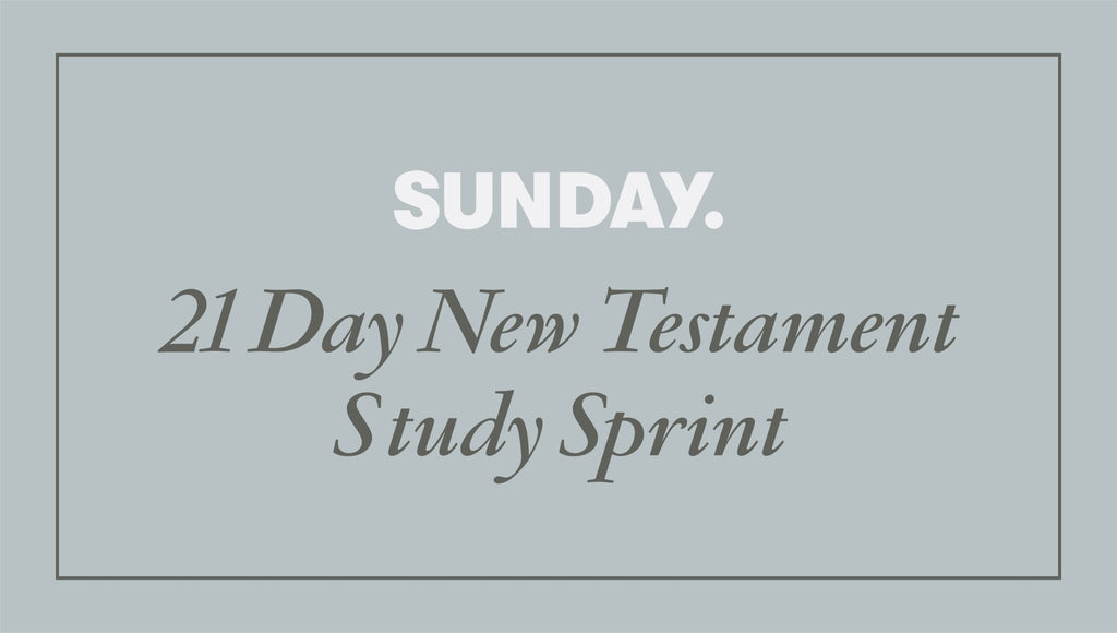 21 Day New Testament Study Sprint