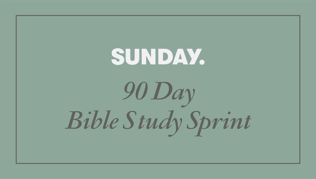 90 Day Bible Study Sprint - Sunday