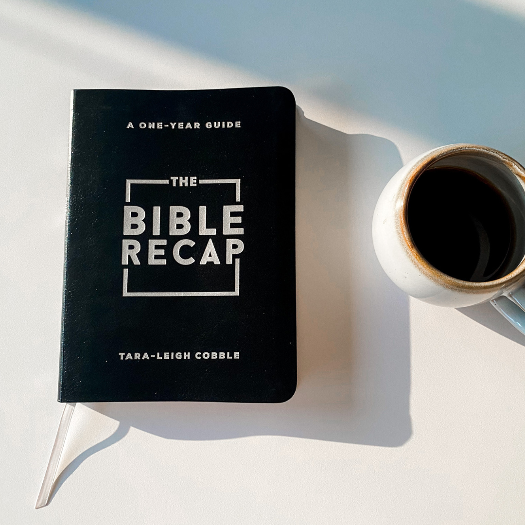 The Bible Recap, Personal Size Black