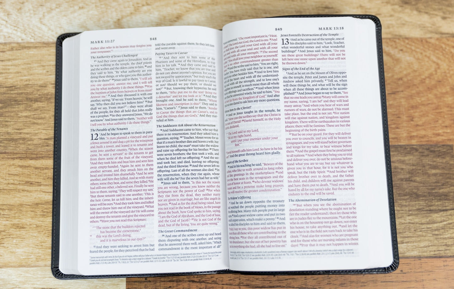 ESV Thinline Bible - Sunday