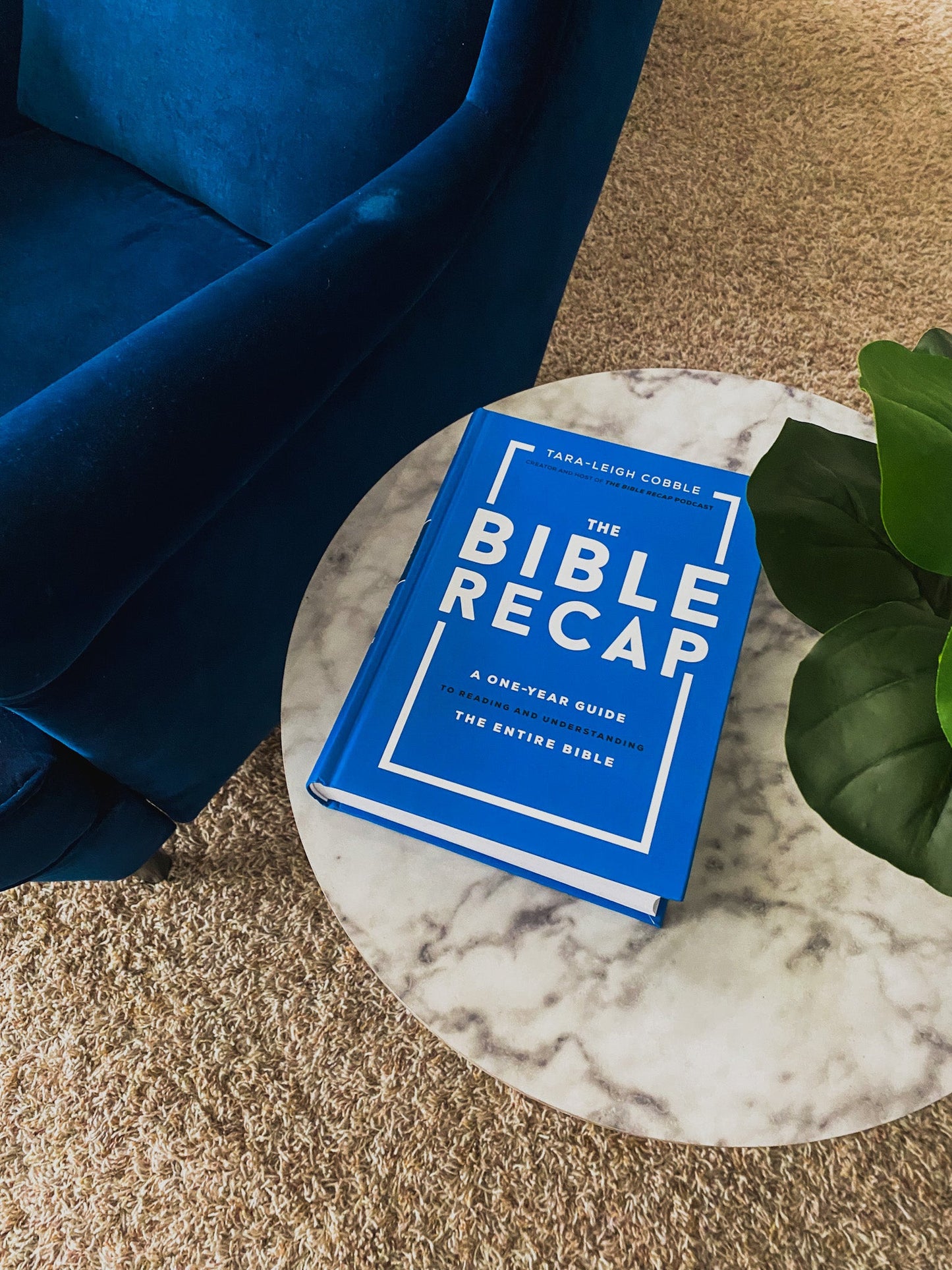 The Bible Recap: A One-Year Guide to Reading and Understanding the Entire Bible - Sunday