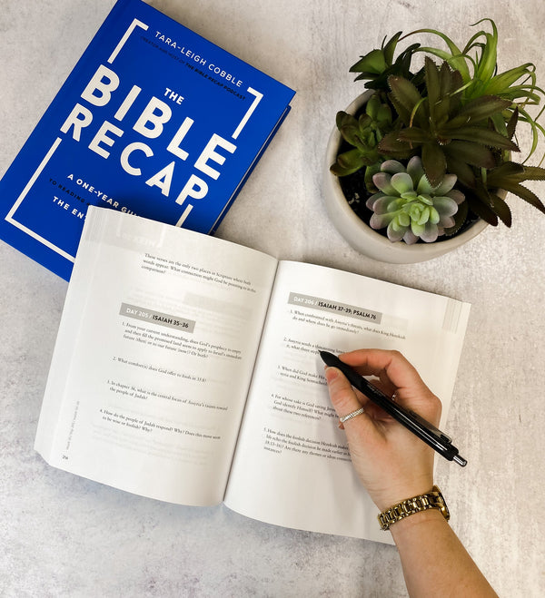 The Bible Recap Bundle - Sunday