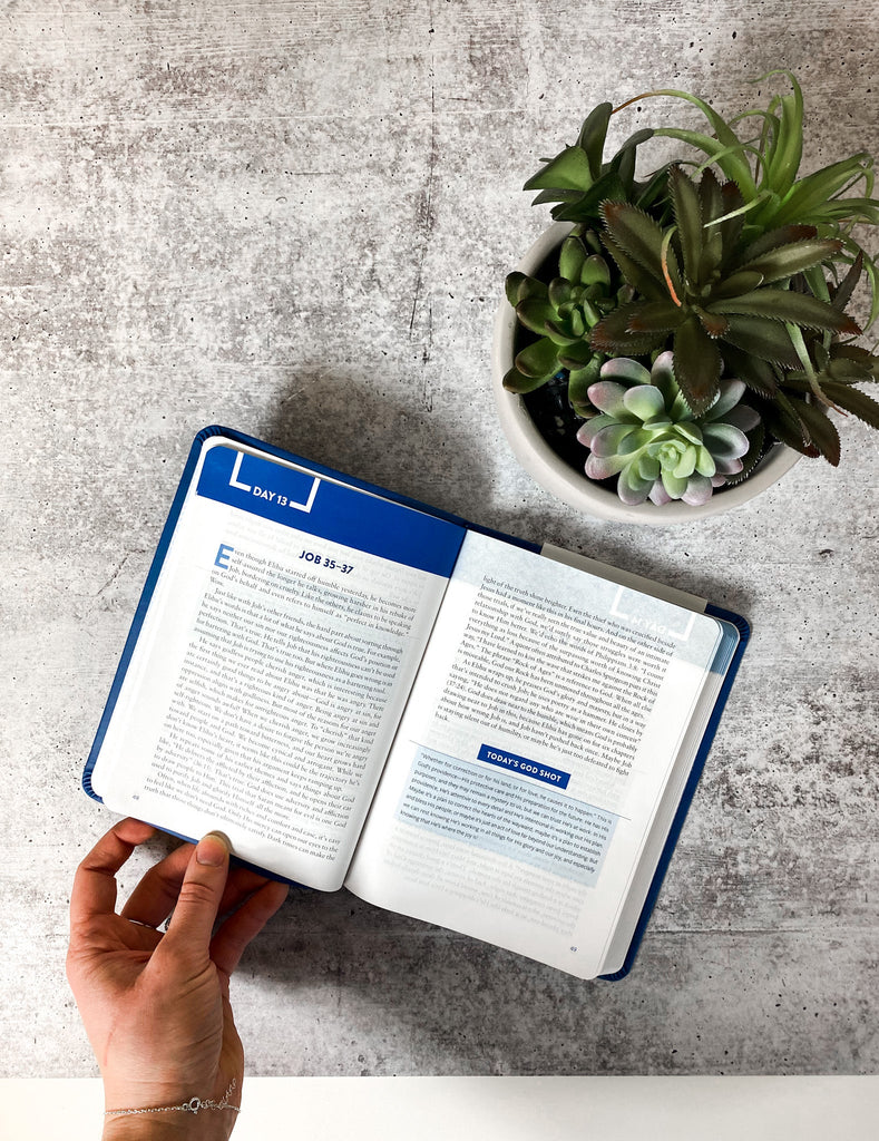 The Bible Recap, Personal Size - Sunday