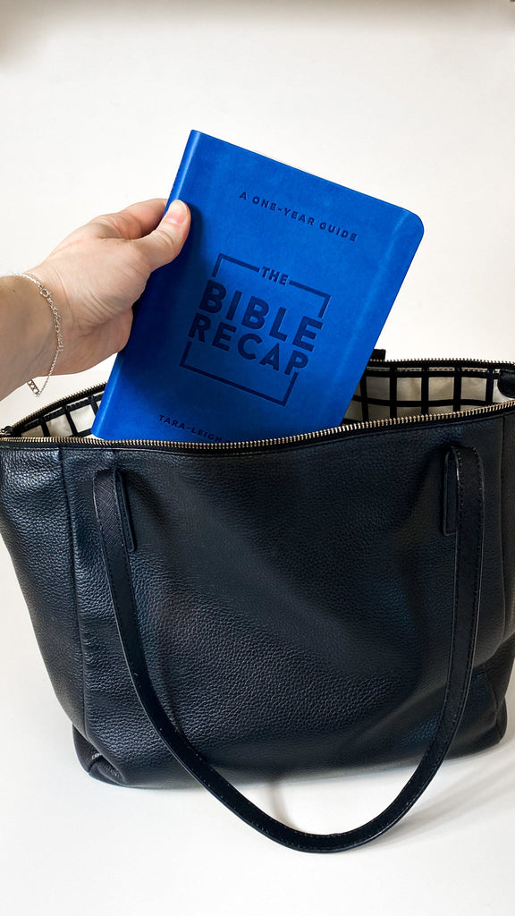 The Bible Recap, Personal Size - Sunday