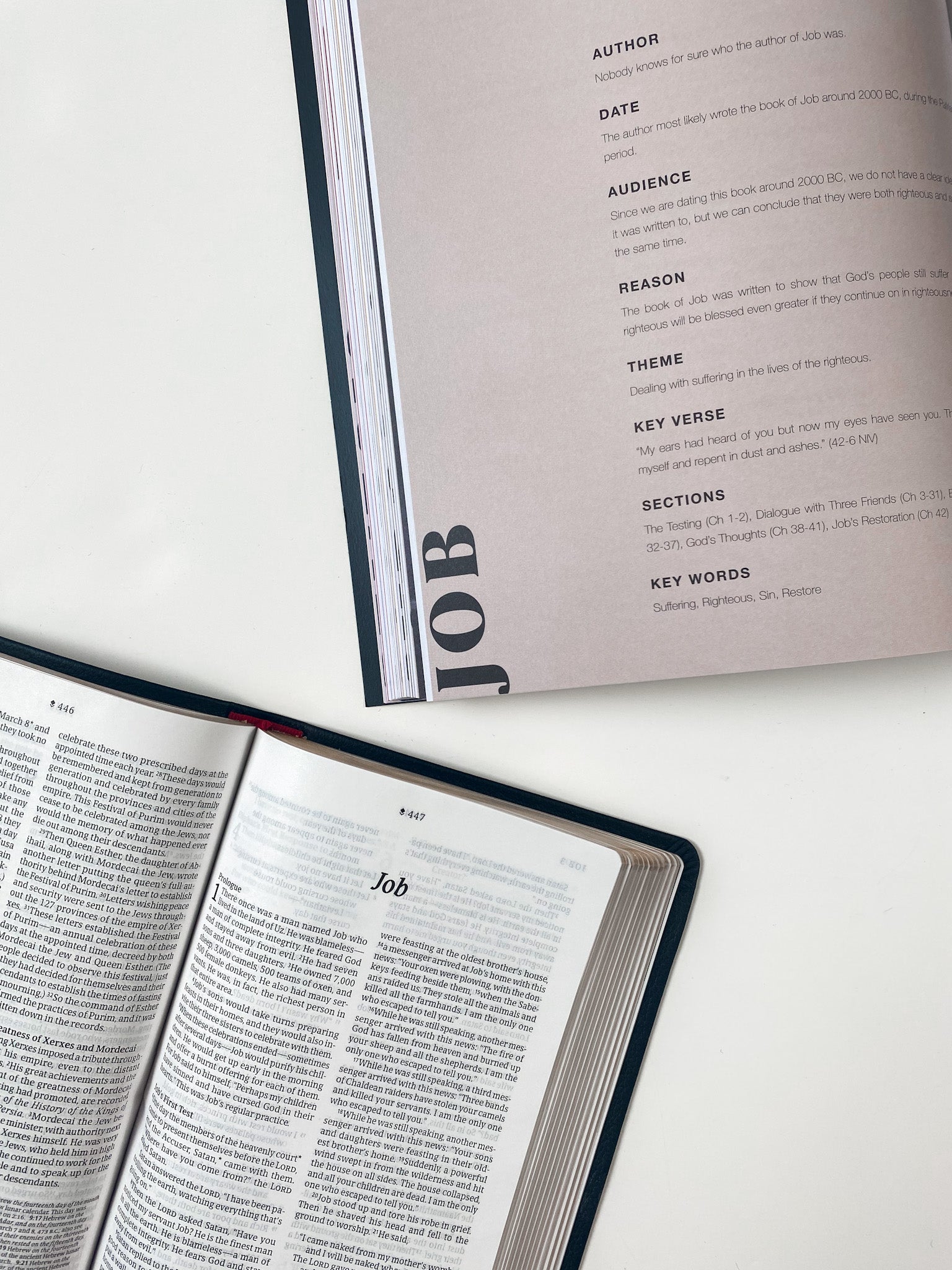 The Bible Study Bundle with Bible - Sunday