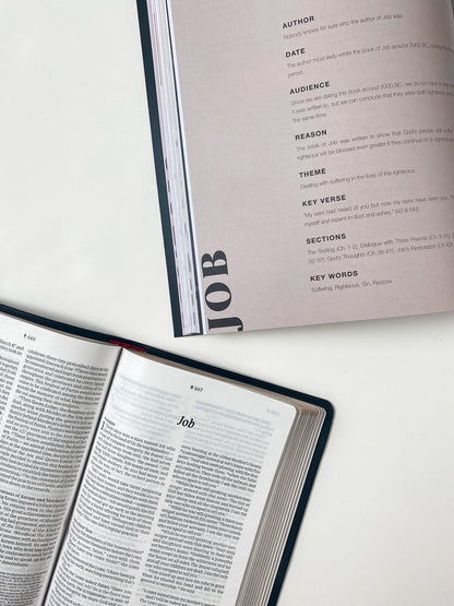 The Bible Study Bundle with Bible - Sunday