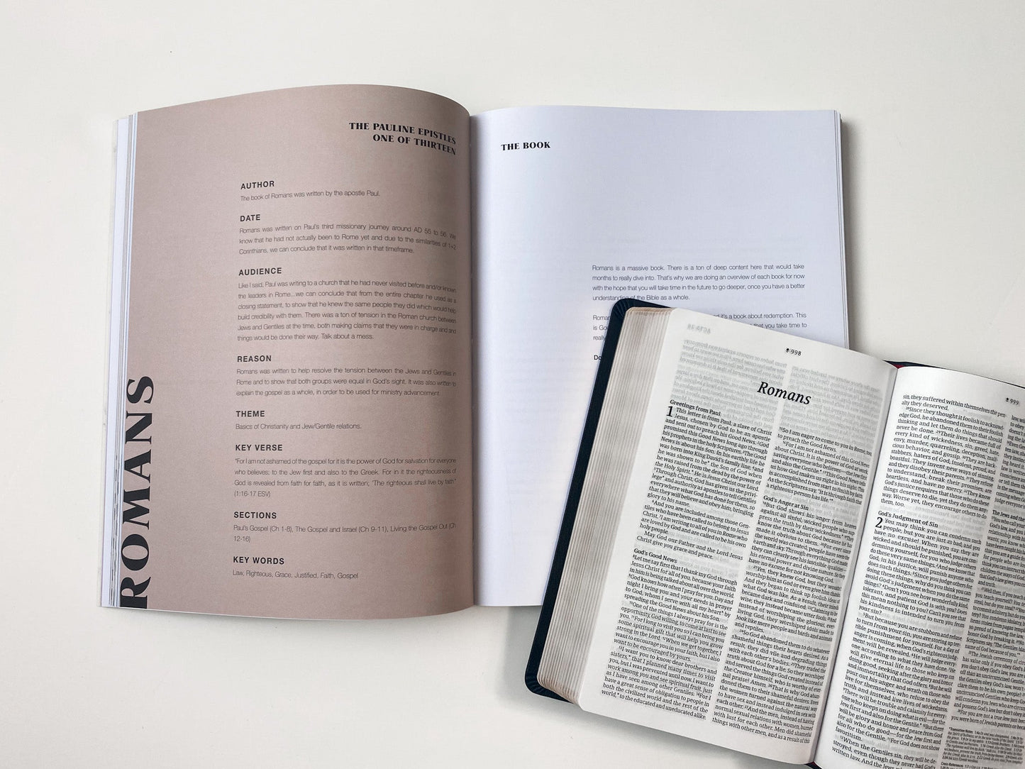 The Bible Study Bundle with Bible - Sunday